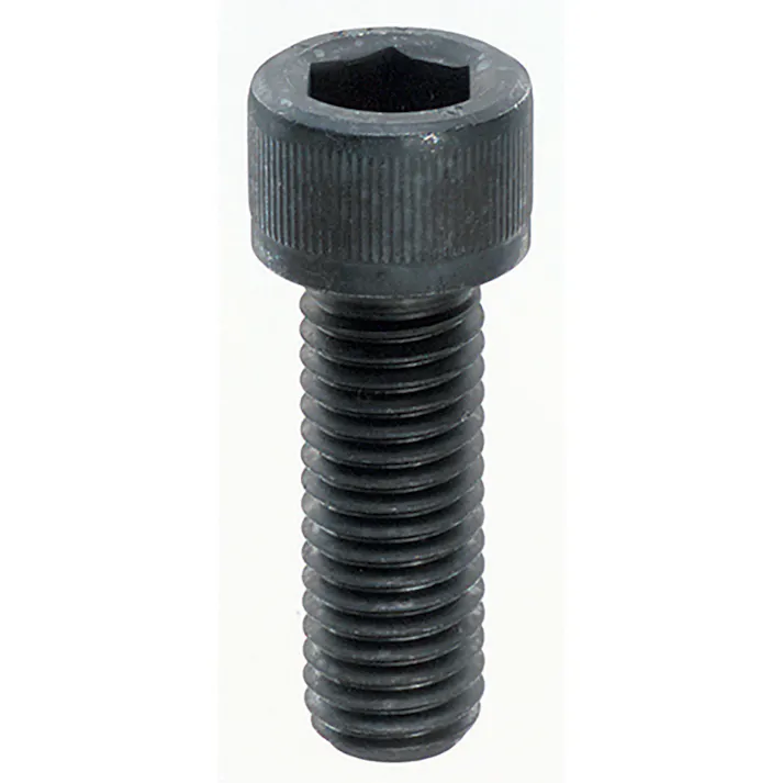 キャップ 3×6mm バラ売