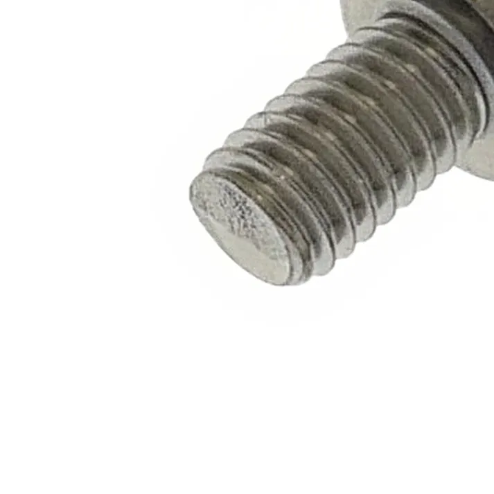 ステンレスボタンキャップ 6×10 バラ売