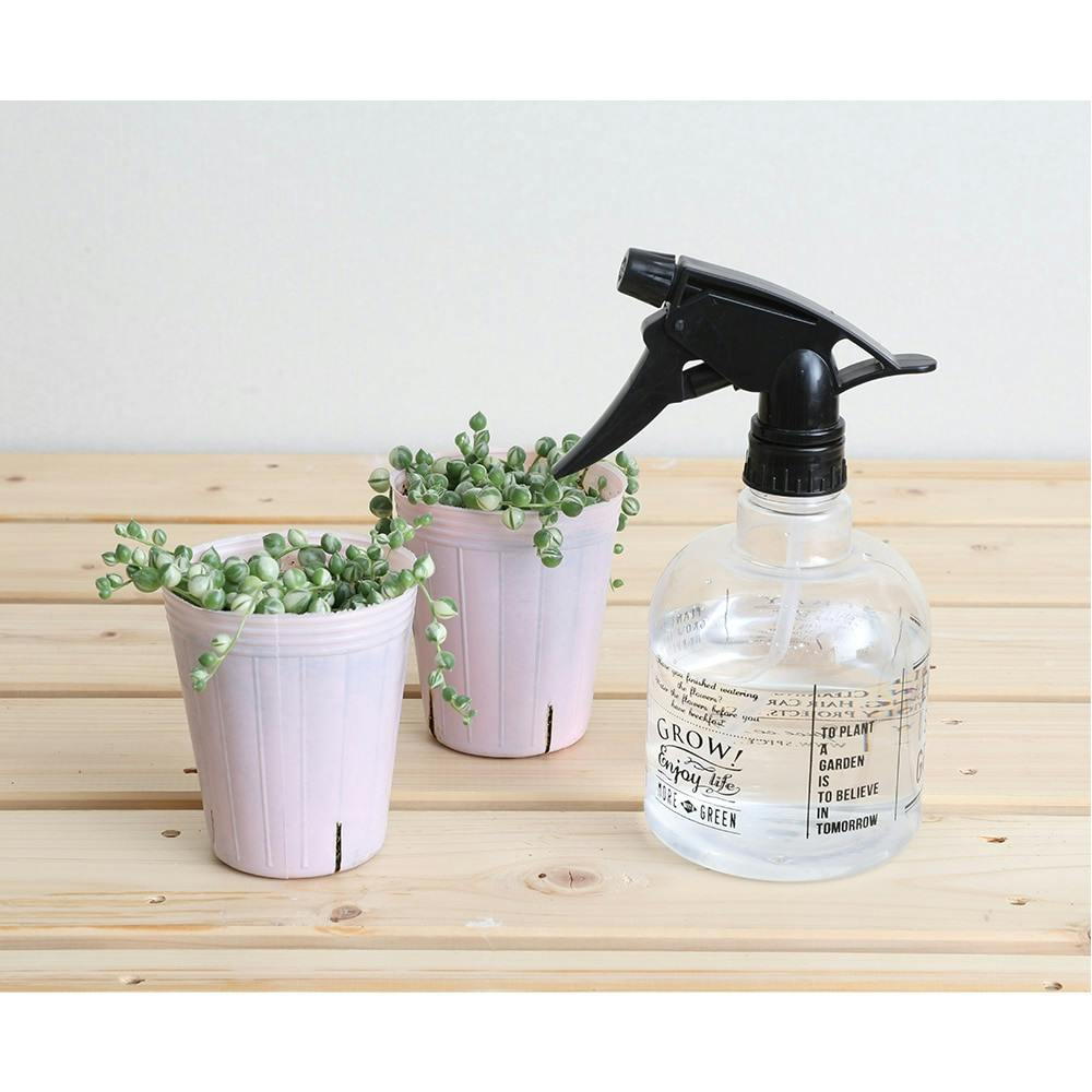 グリーンネックレス(フイリ)3個セット【別送品】(販売終了) | 花