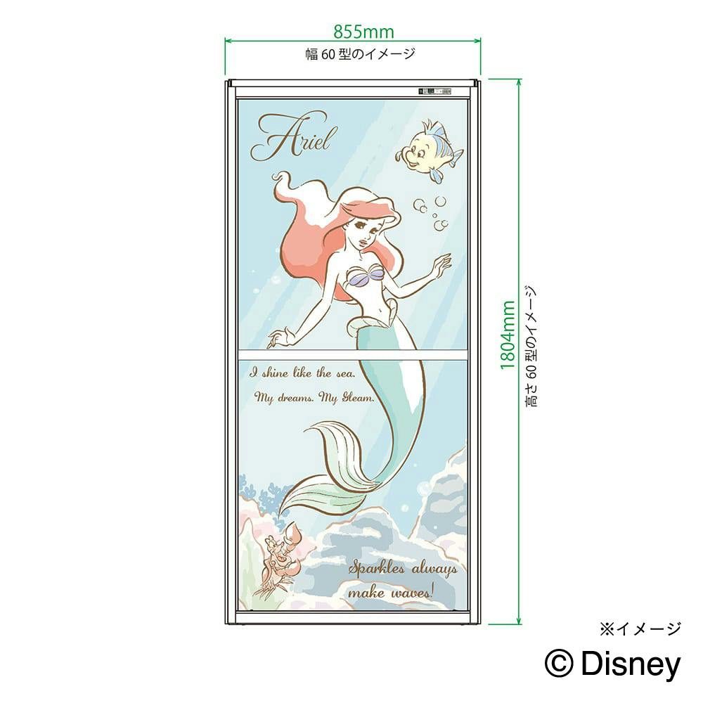 送料無料】OKアミド アリエル 30メッシュ シルバー 60-60【別送品