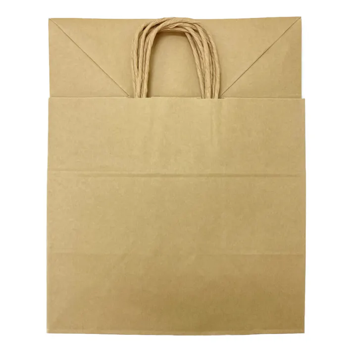 手堤袋 25CB 32-4 未晒無地 10枚入