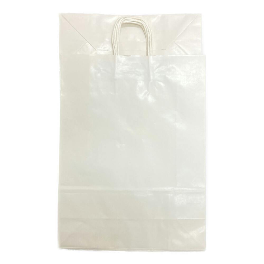 手堤袋 25CB カスタムB 白無地 10枚入 | 文房具・事務用品 通販