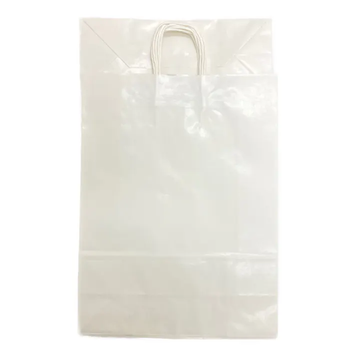 手堤袋 25CB カスタムB 白無地 10枚入