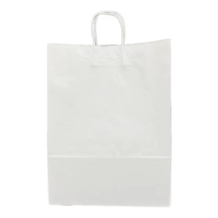 手堤袋 25CB カスタムB 白無地 10枚入