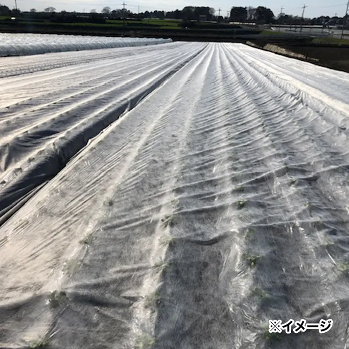 農業用べたがけ不織布 2.1×200m