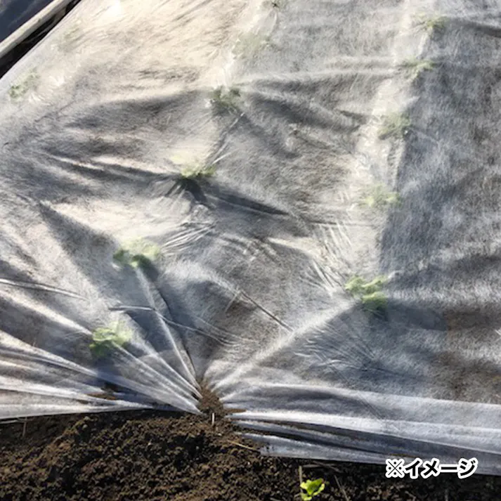 農業用べたがけ不織布 1.2×20m