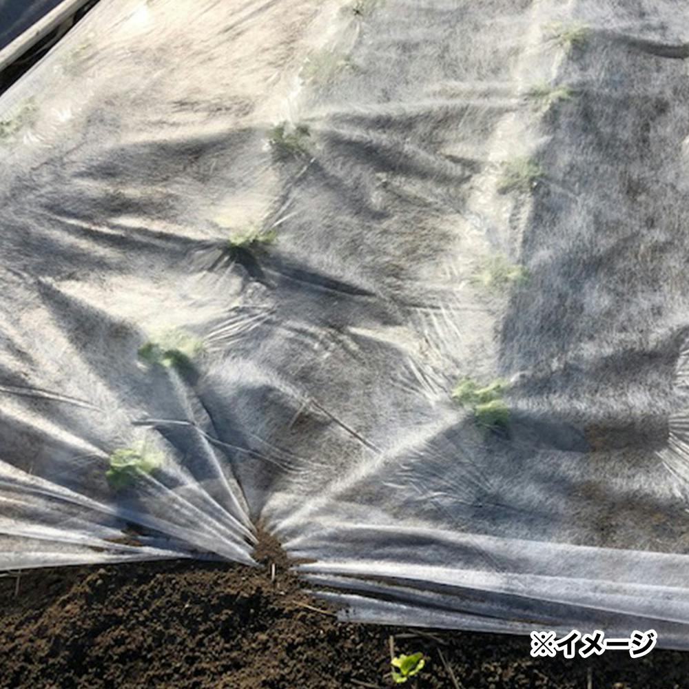 農業用べたがけ不織布 1.2×50m【SU】 | 被覆資材 通販