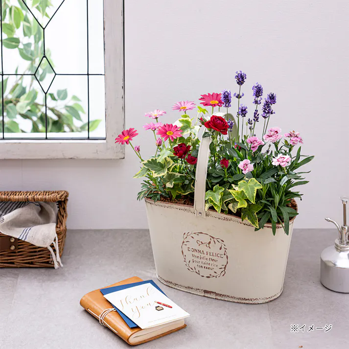 【2026年母の日】季節の寄せ植え ブリキアレンジ