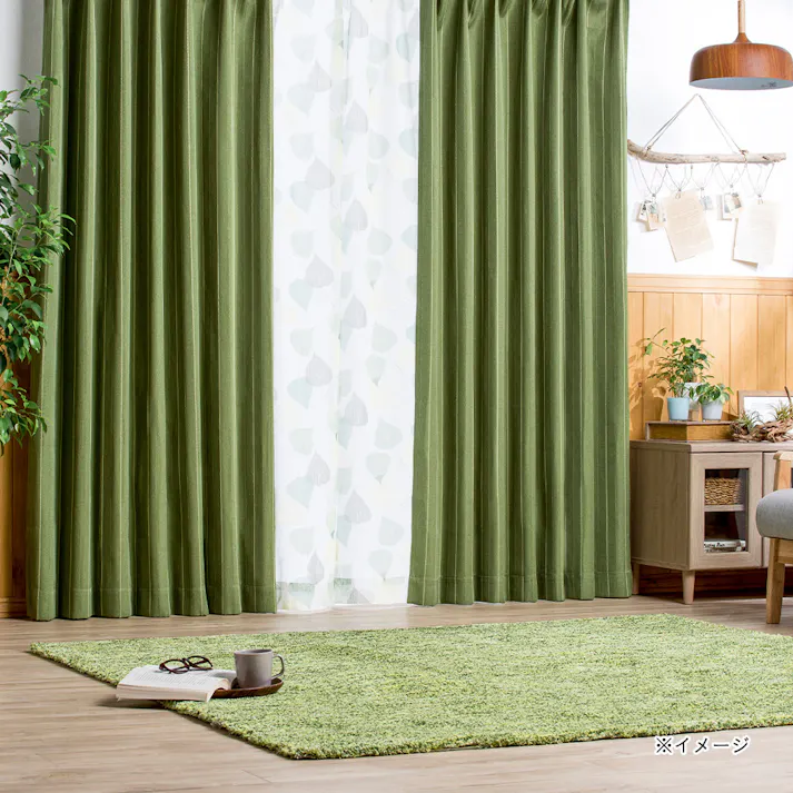 【通常5380円】遮光ニューファイン ダークグリーン 幅151~200×丈151~180【別送品】