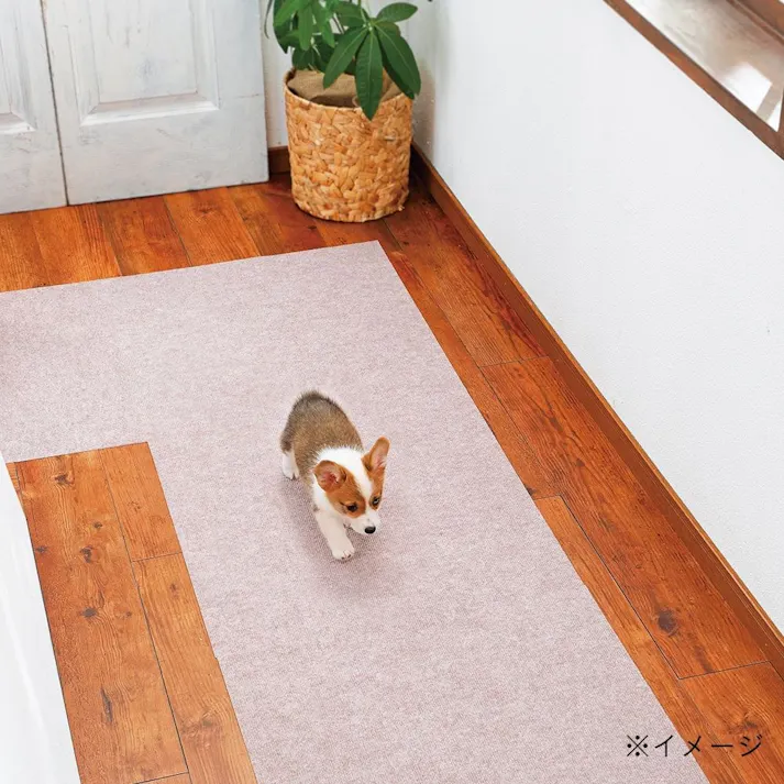 【まとめ売り】ペット用消臭吸着マット ベージュ 60×120cm 12枚入