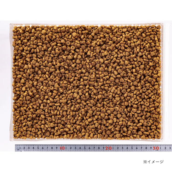 【まとめ売り】プライムレシピ 小型犬用 低脂肪 チキン&ライス 1kg×6個入