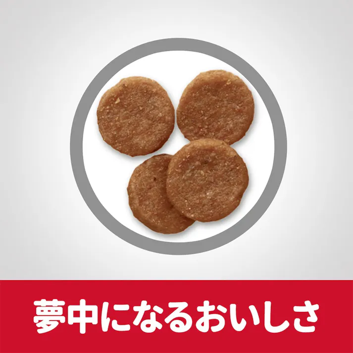 【CAINZ定期便】サイエンス・ダイエット 中型犬用 中粒 チキン 5kg