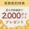 【CAINZ定期便】AllWell 食事の吐き戻しを軽減 早食いが気になる猫用 成猫の腎臓の健康維持用 フィッシュ味 2.4kg