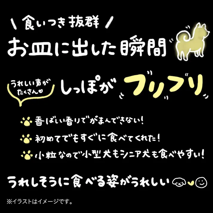 【CAINZ定期便】スマイリア サーモンと玄米のぜいたく素材ごはん 2.5kg 成犬用