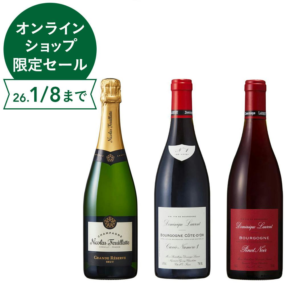 ブルゴーニュ 赤ワイン4本セット クール便込み ブルゴーニュ 赤ワイン4