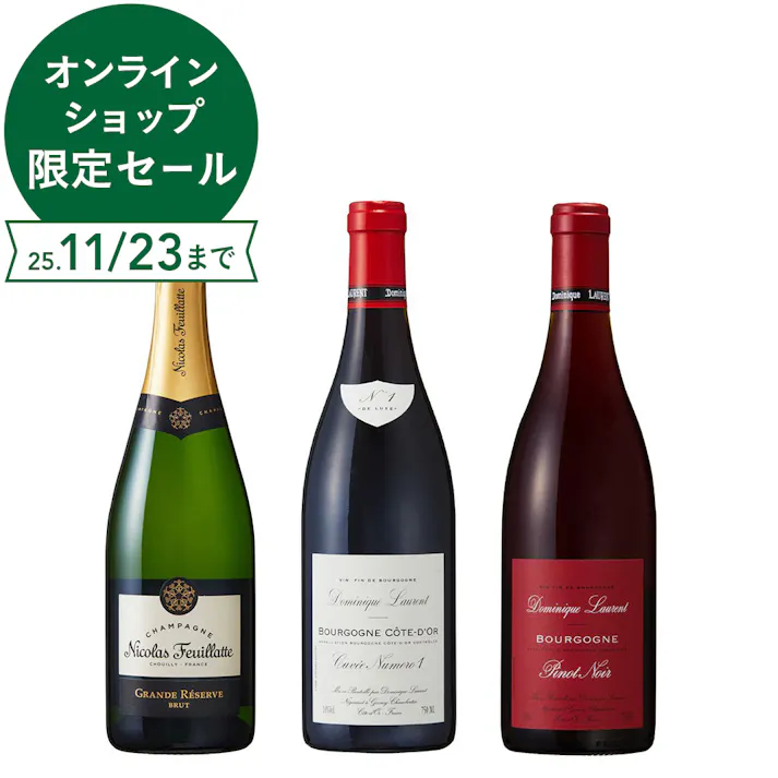 シャンパーニュとブルゴーニュ赤ワインの飲み比べ3本セット(各750ml)