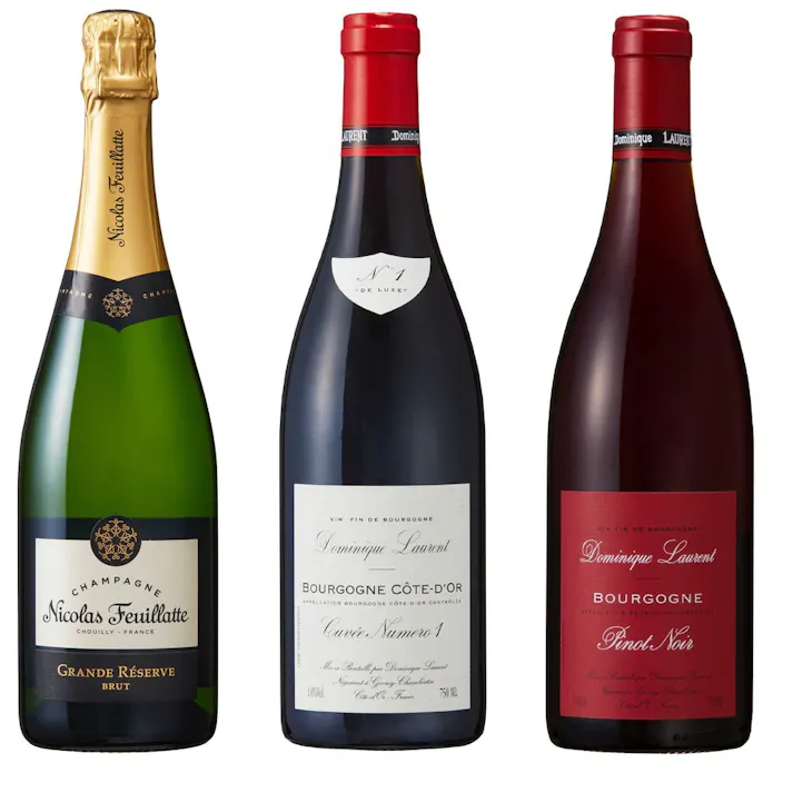 シャンパーニュとブルゴーニュ赤ワインの飲み比べ3本セット(各750ml)