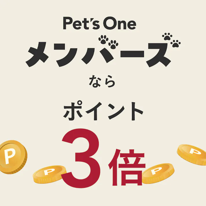 【CAINZ定期便】カインズ ずれにくいペットシーツ ワイド 50枚×4個入 犬用 中型犬約2回分おしっこ吸収 ずれ防止テープ付き