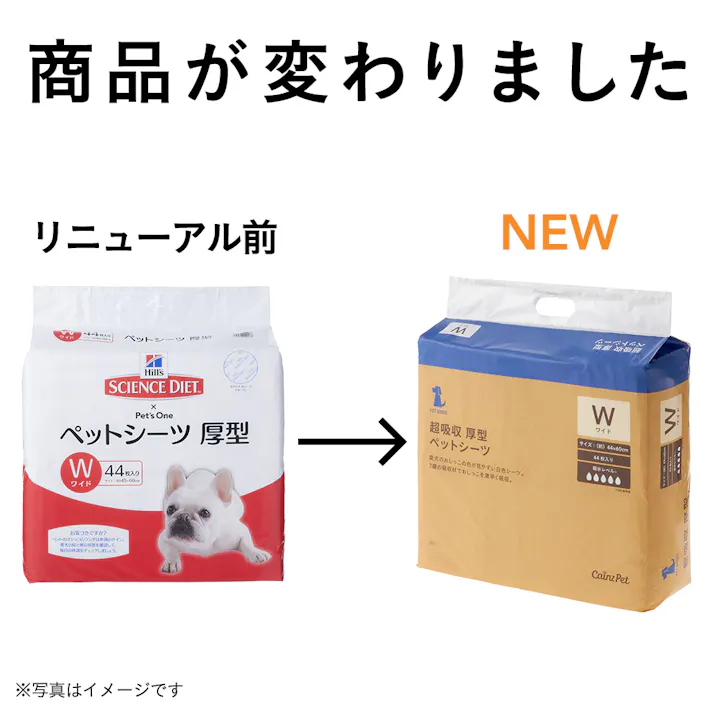 【CAINZ定期便】カインズ 超吸収厚型ペットシーツ ワイド 44枚×4個入 約44×60cm 中型犬約2~4回分 2層の吸収材ですばやく吸収