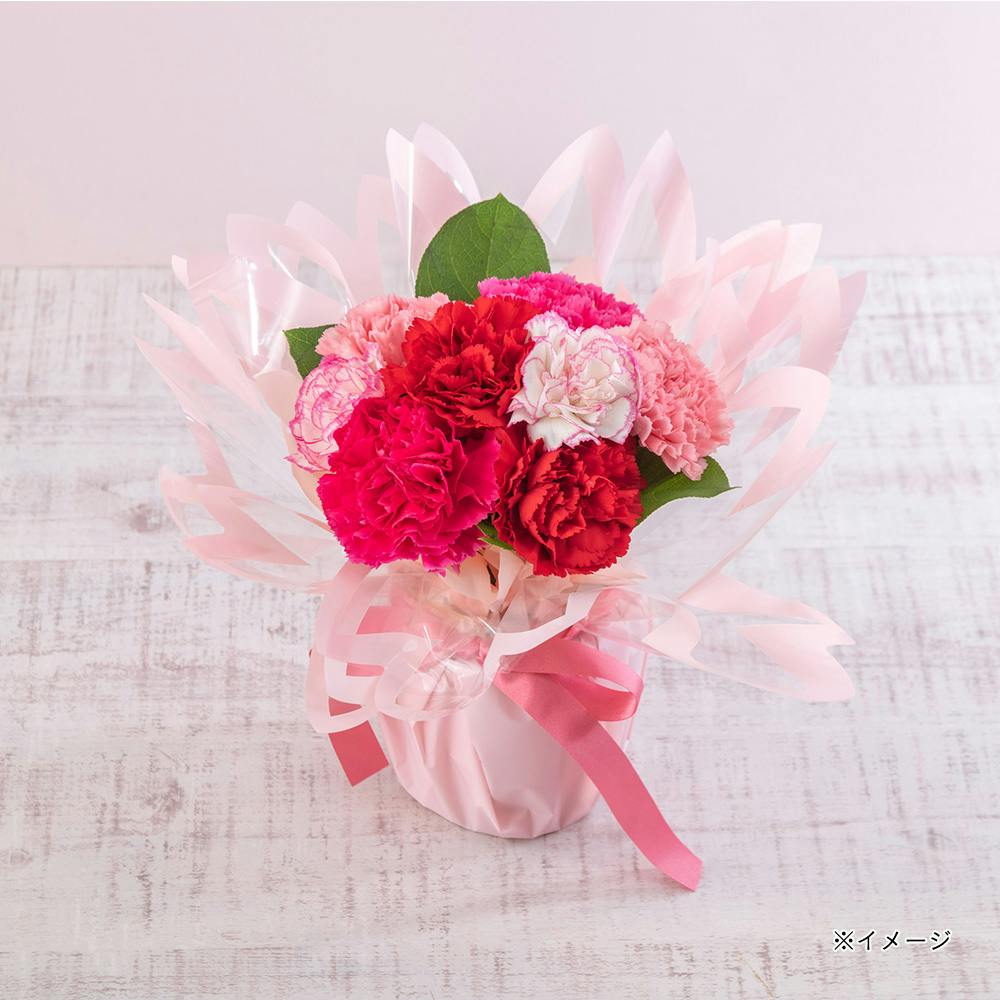 【2026年母の日】そのまま飾れるブーケ 「ブルーム」