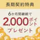 【CAINZ定期便】Pet’sOne たらほぐしソフト 60g×10個入