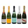モエ・エ・シャンドン、ヴーヴクリコが入った有名シャンパーニュ飲み比べ5本セット(各750ml)