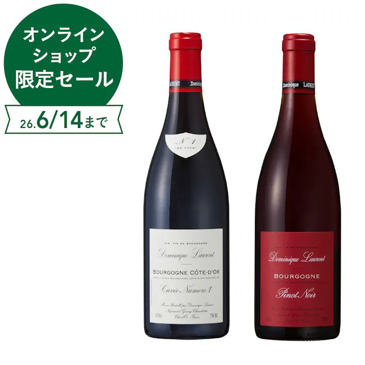 ブルゴーニュ赤ワイン2本セット(各750ml)