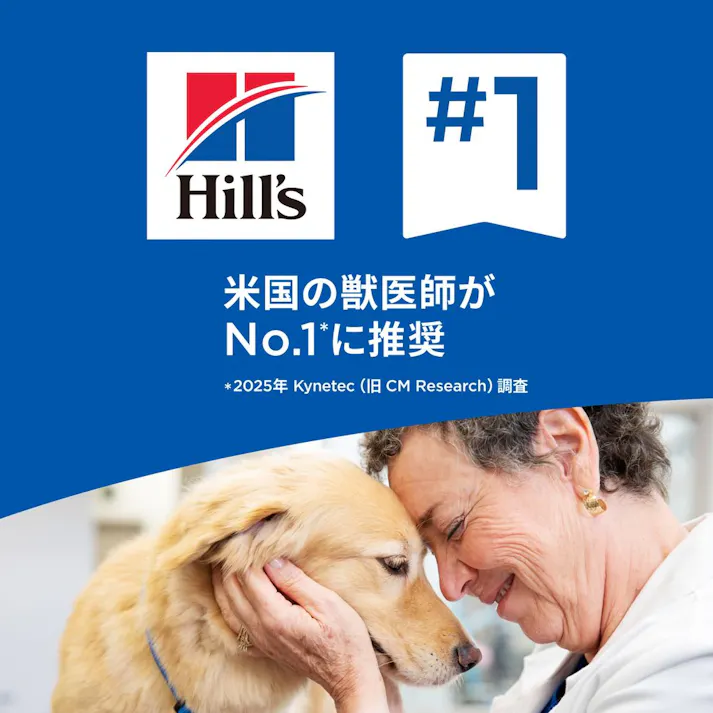 【CAINZ定期便】サイエンス・ダイエット 小型犬用 アダルトライト 1~6歳 肥満傾向の成犬用 チキン 3kg