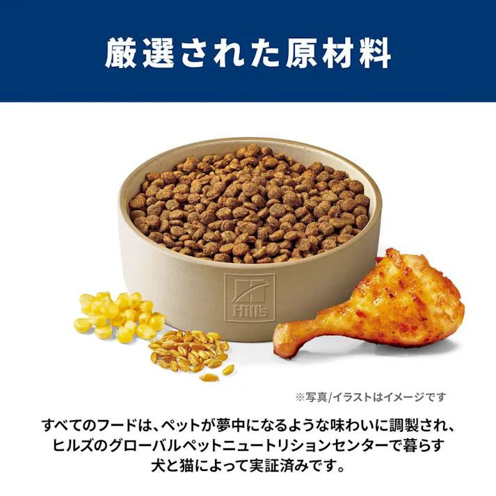 【CAINZ定期便】サイエンス・ダイエット シニア(高齢犬用) 7歳以上 小粒 3.3kg