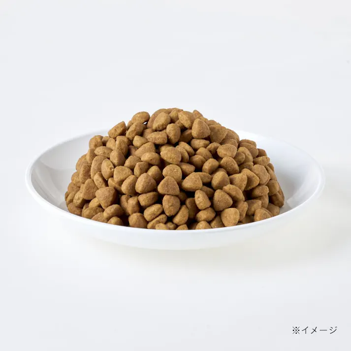 【CAINZ定期便】カインズ スマイリア 鶏肉と玄米のぜいたく素材ごはん 1kg 成犬用 ドッグフード