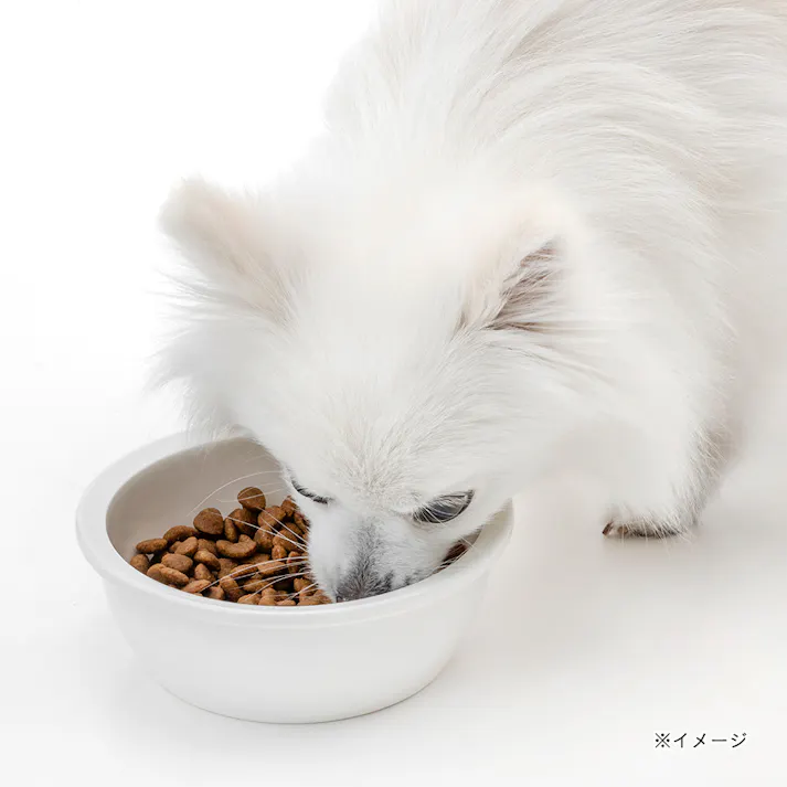 【CAINZ定期便】カインズ スマイリア 鶏肉と玄米のぜいたく素材ごはん 1kg 成犬用 ドッグフード
