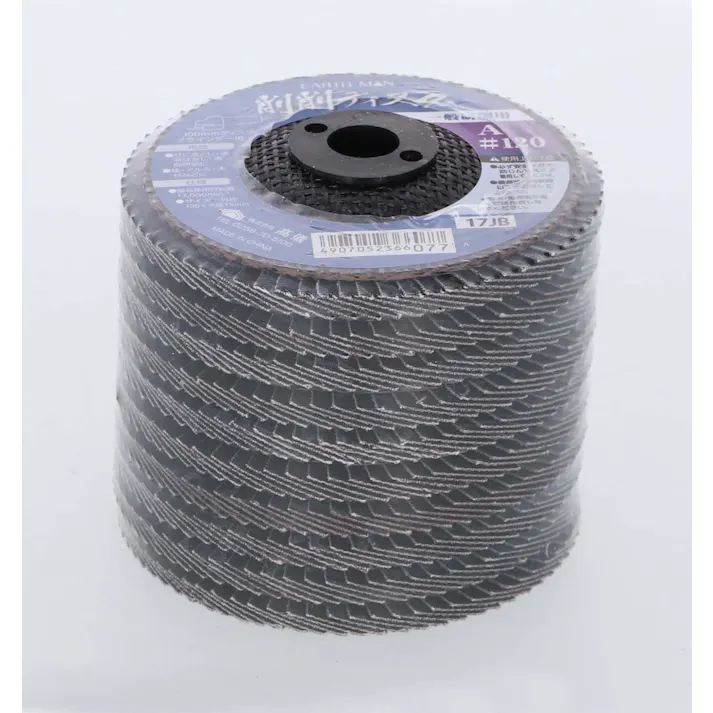 TAKAGI EARTH MAN 高儀 削削ディスク A #120 10枚入 4907052366176 【ネット注文限定・別送品】