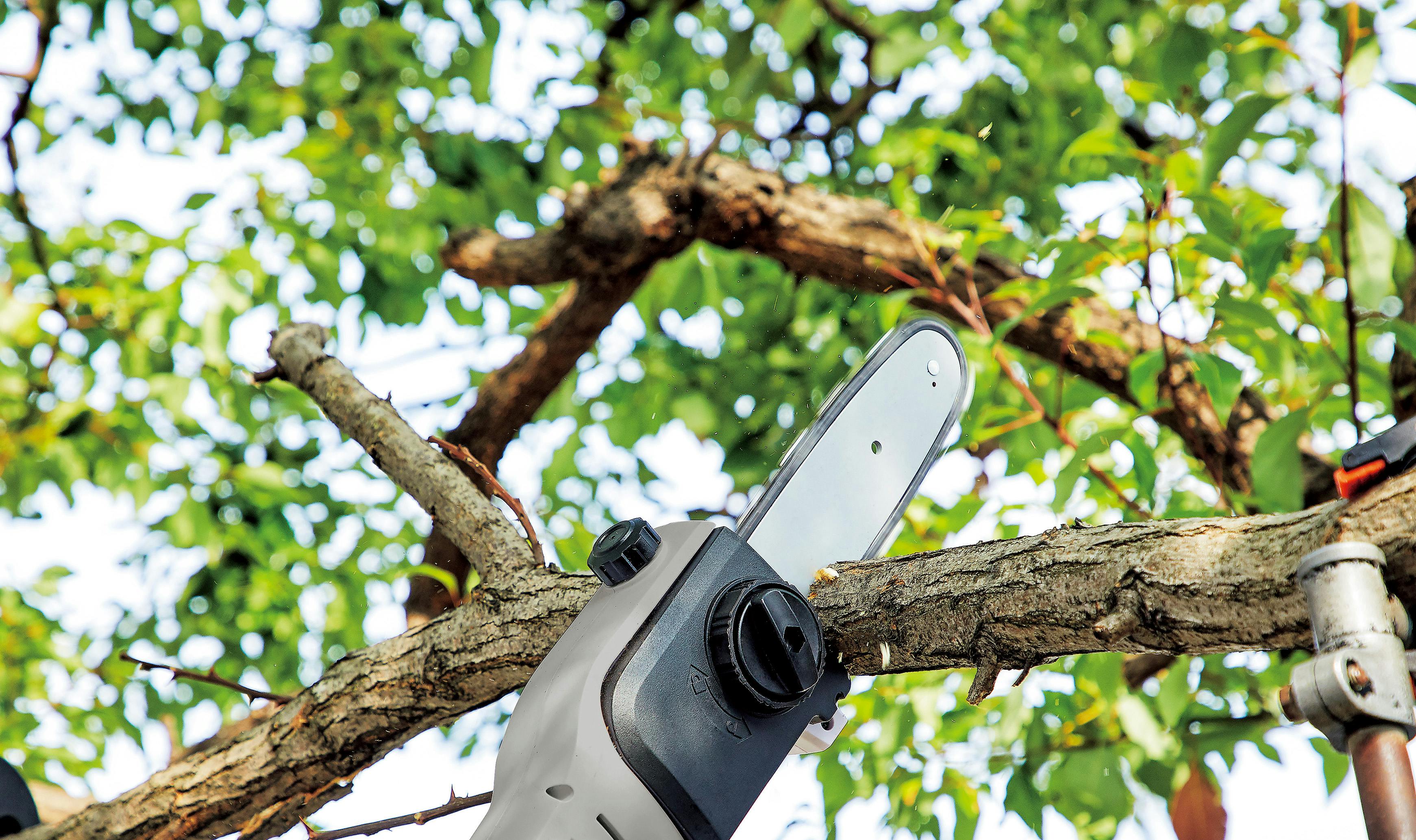 TAKAGI EARTH MAN 高儀 伸縮式ポールチェーンソー用替刃 CSEP-1