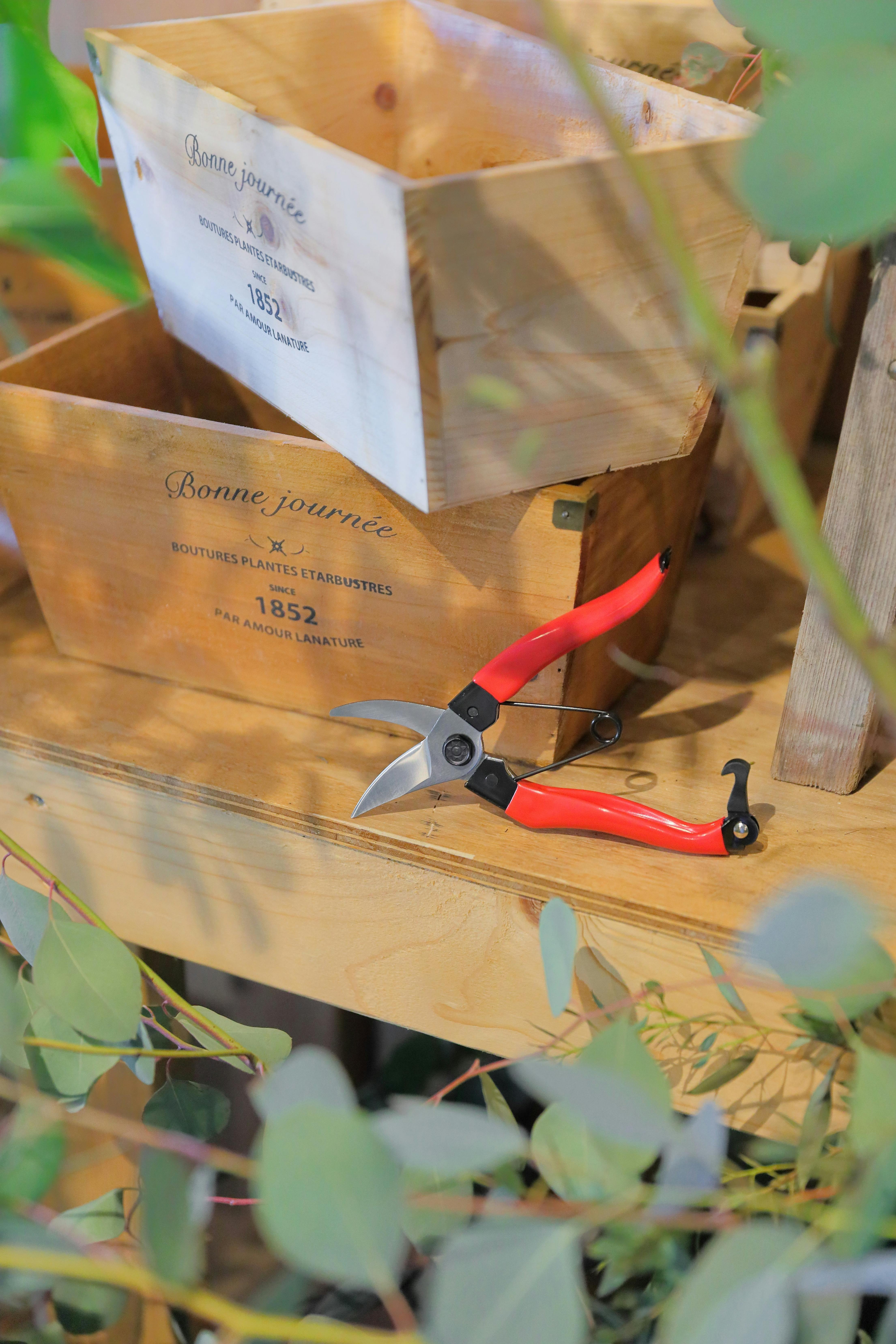 TAKAGI 高儀 サンフラワーファクトリー× 剪定鋏 180mm 赤グリップ ST