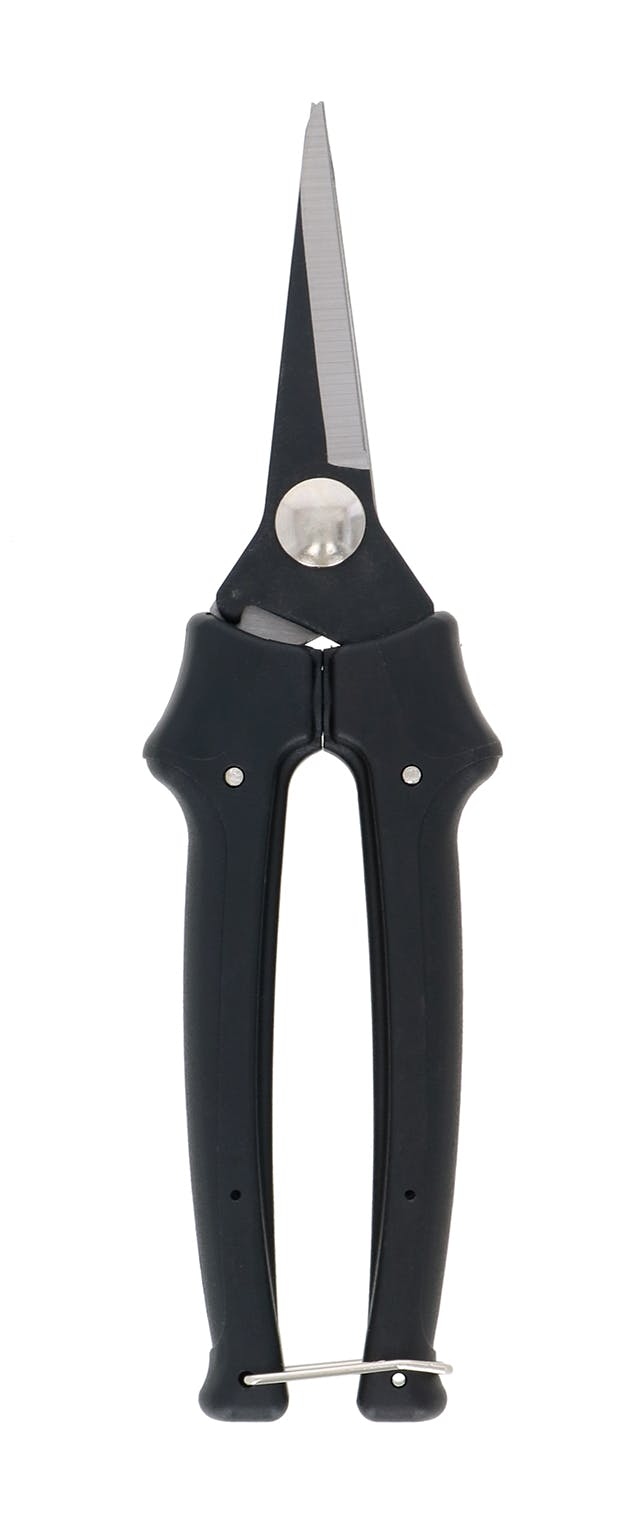 TAKAGI 高儀 日本刃付け 芽切鋏 190mm 4907052710399 【ネット