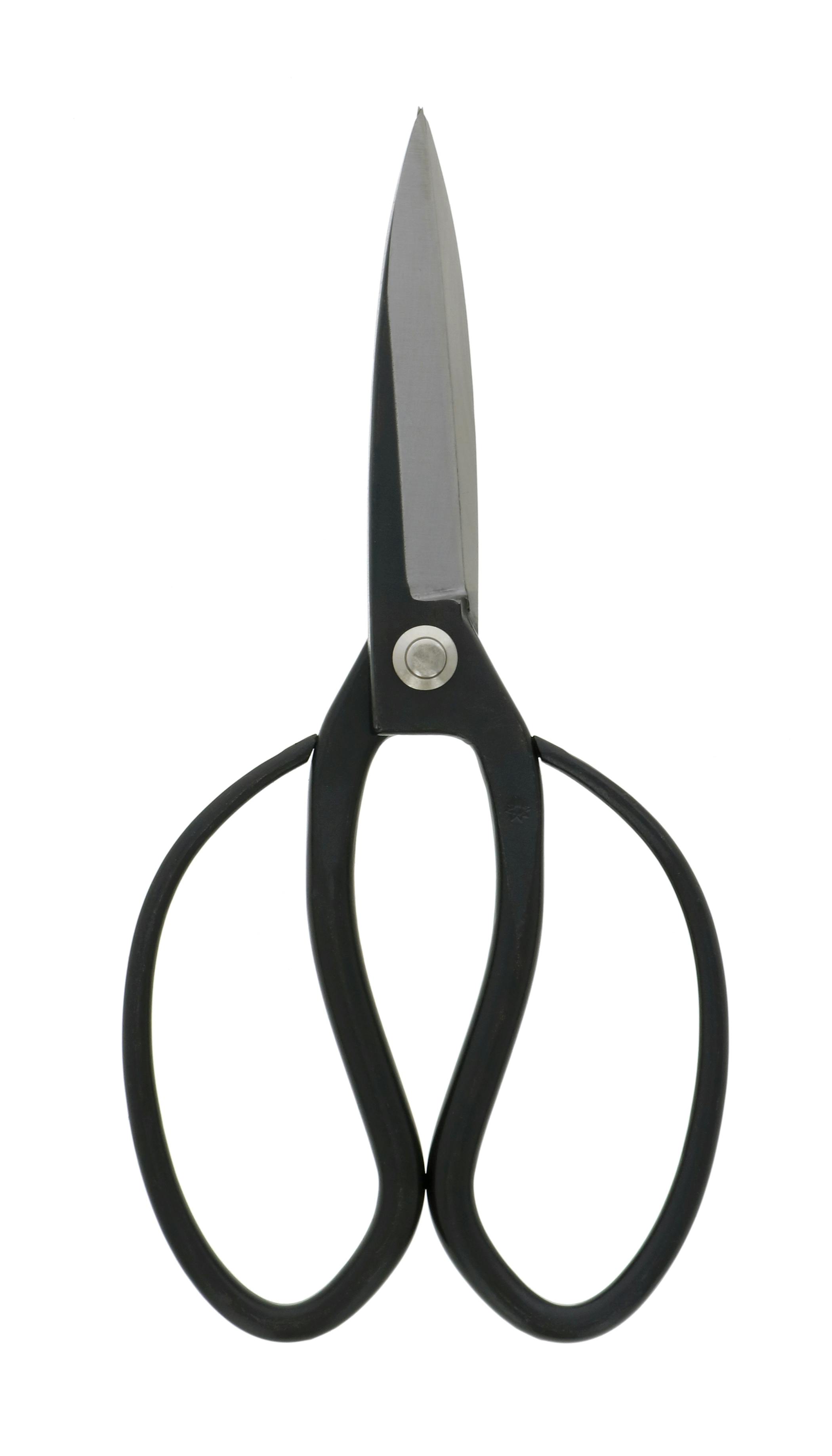 五葉松見本品『全長約㎝』引き取り限定。配達も可能。 セフ引出しボックスL フリートレイ｜セフボックス・セフ台車｜TAJIMA