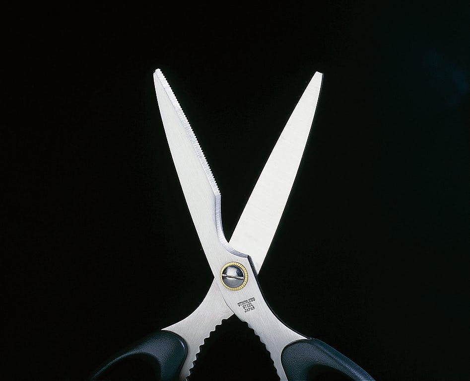 TAKAGI 高儀 Sun Garden マルチ万能鋏 ステンレス 190mm