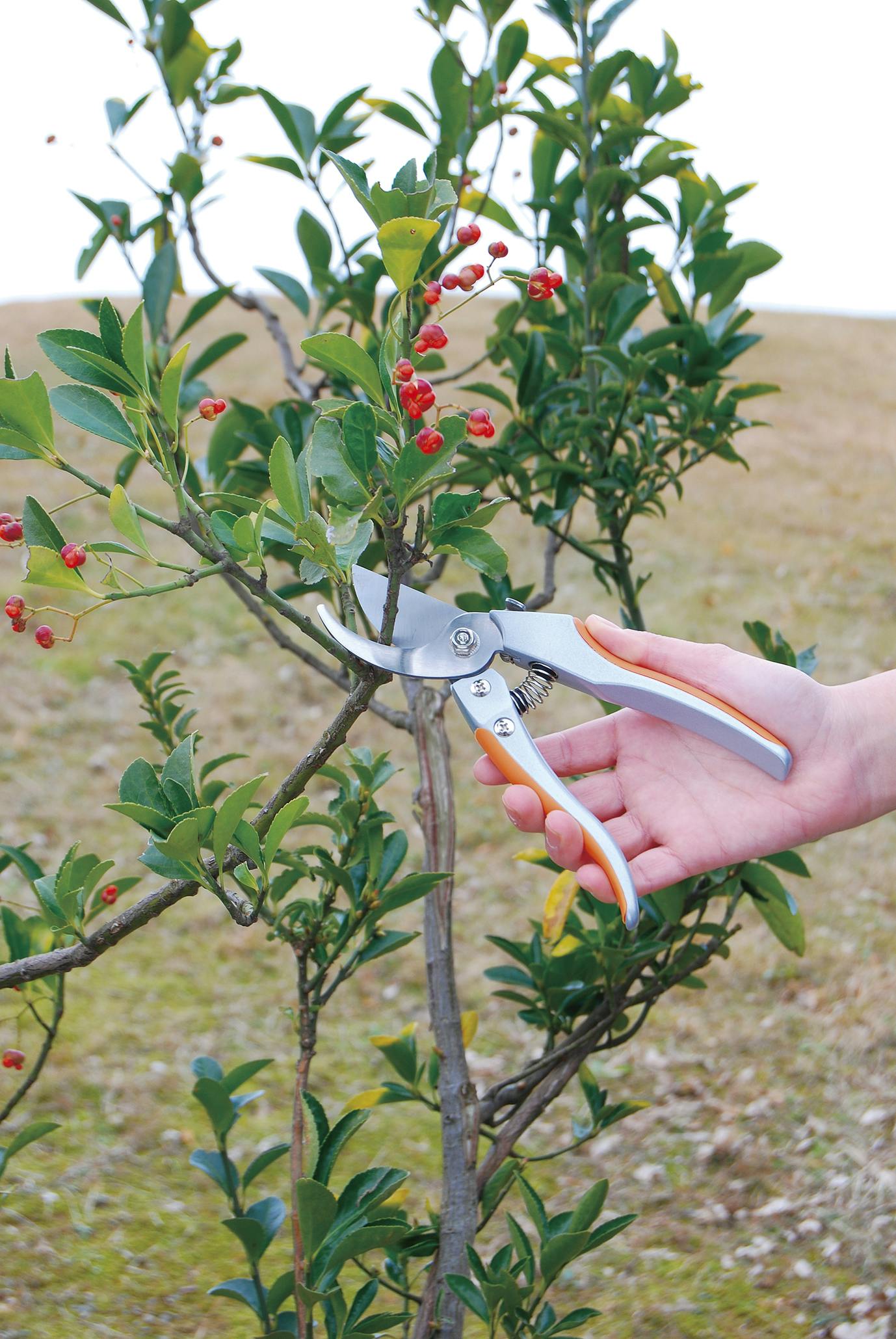 TAKAGI Sun Garden 高儀 剪定鋏 アルミダイキャスト 200mm