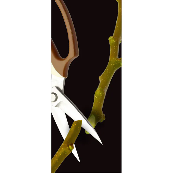 TAKAGI 高儀 刃長木鋏 本刃付ステンレス 195mm 4907052713505 【ネット注文限定・別送品】