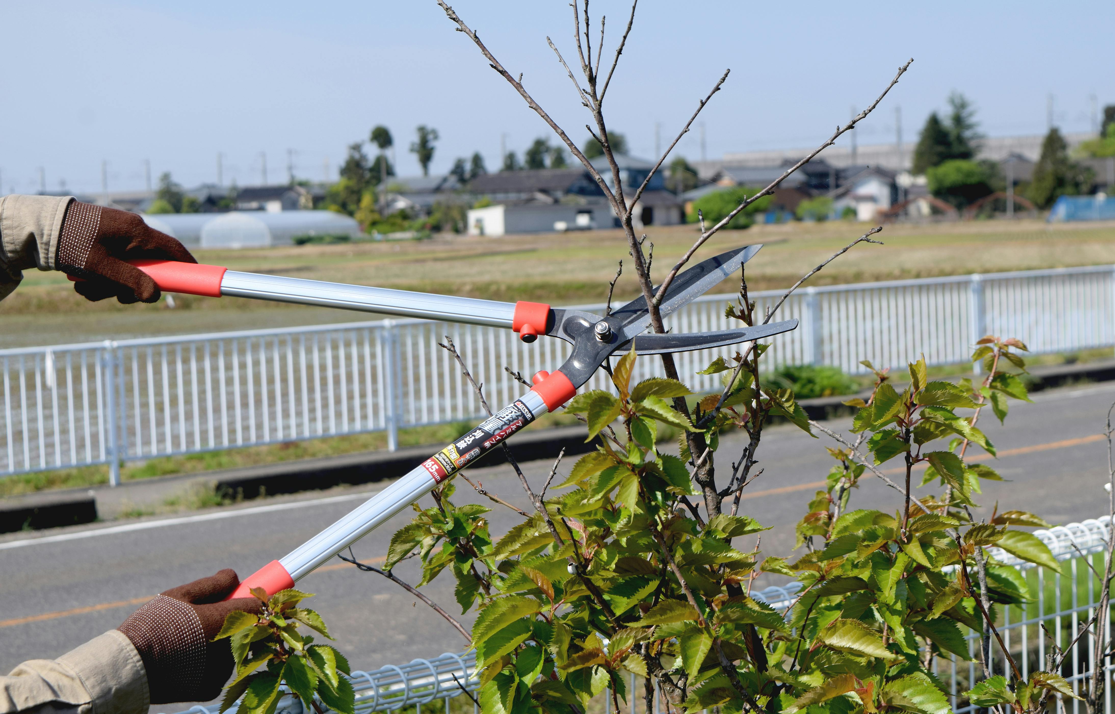 TAKAGI 高儀 刈込鋏 アルミパイプ柄 総焼入 軽量 強力型 165mm