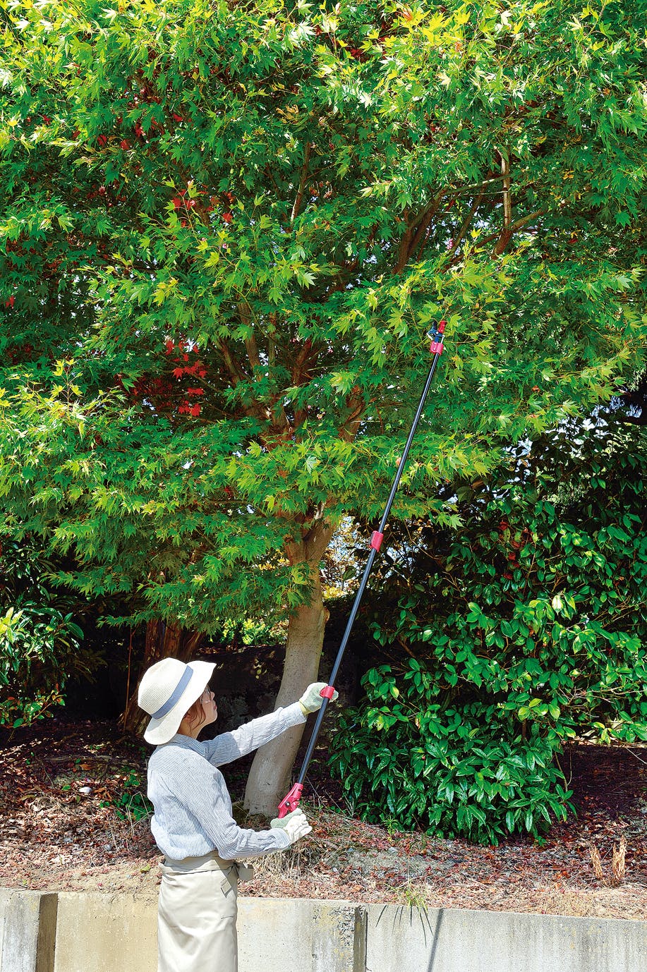 TAKAGI 高儀 高枝切鋏 省力 剪定タイプ アンビル型 1.3m~2.0m