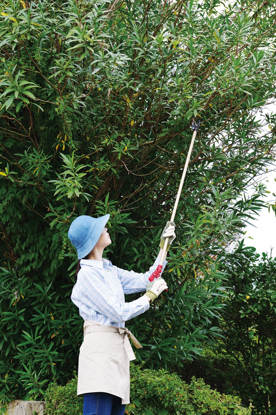 TAKAGI 高儀 高枝切鋏 軽量 剪定刃1.0m 4907052717893 【ネット注文