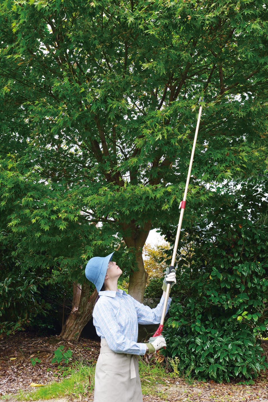 TAKAGI 高儀 高枝切鋏 伸縮 軽量 剪定刃1.3~2.0m 4907052717909