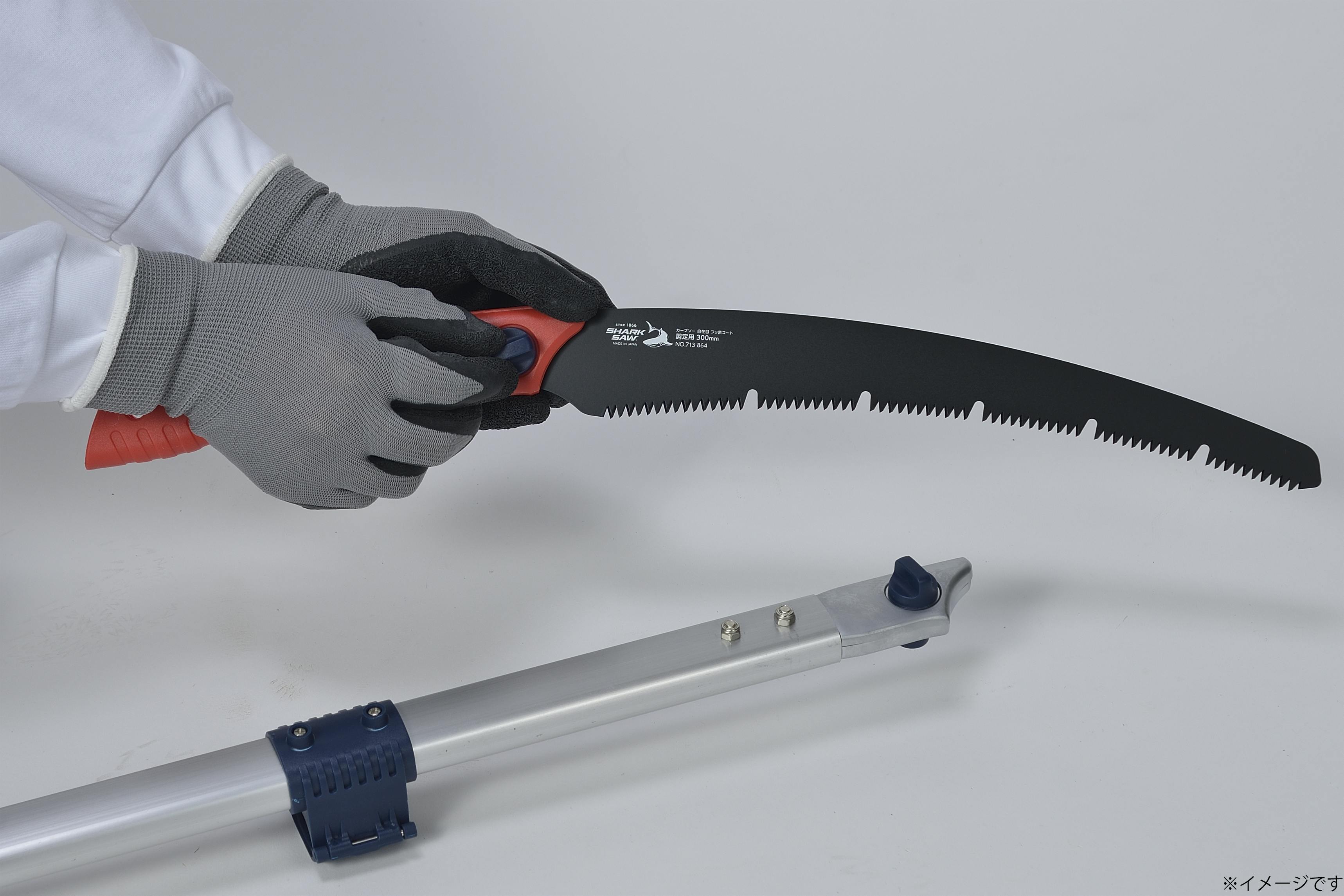 スグリ　挿木枝　約20cm　５本 スグリ 挿木枝 約20cm 5本