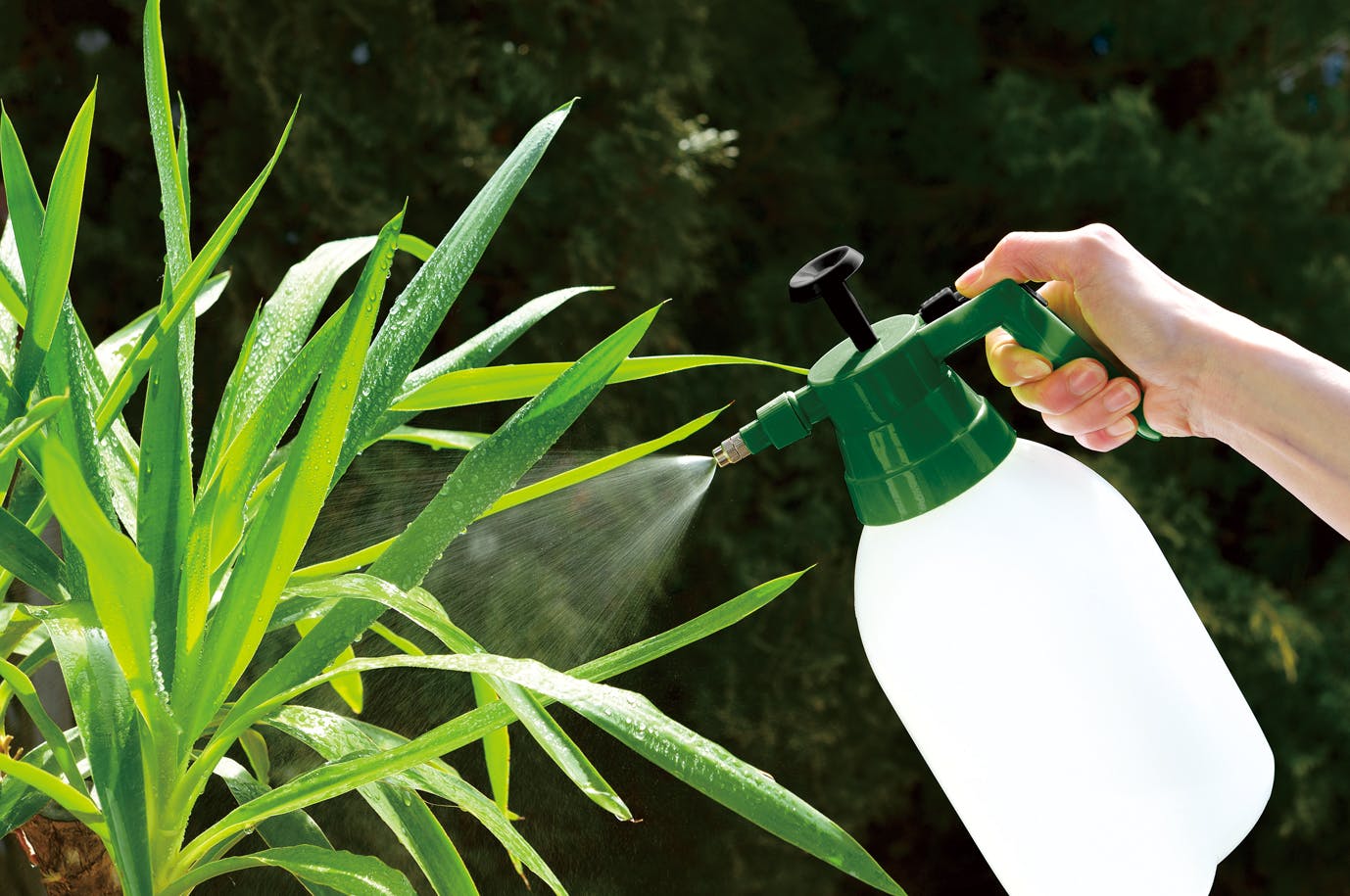 Prayoga Saeful　送料分 51XohIAEQnL.jpg