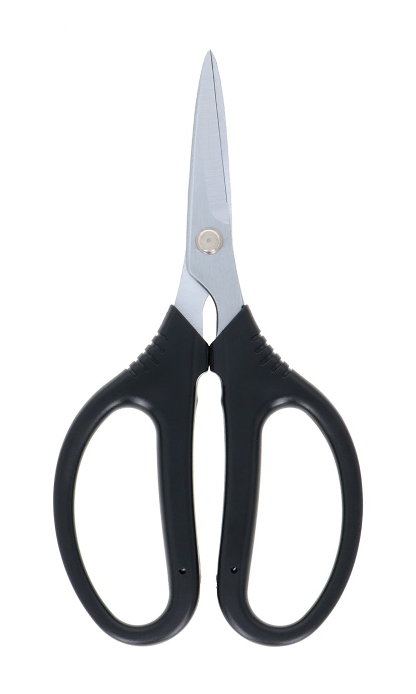 TAKAGI 高儀 日本刃付け 園芸用 万能鋏 12個セット 4907052710405-12