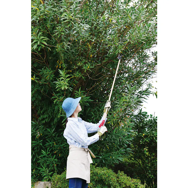 TAKAGI 高儀 高枝切鋏 軽量 剪定刃1.0m 12個セット 4907052717893-12【ネット注文限定・別送品】