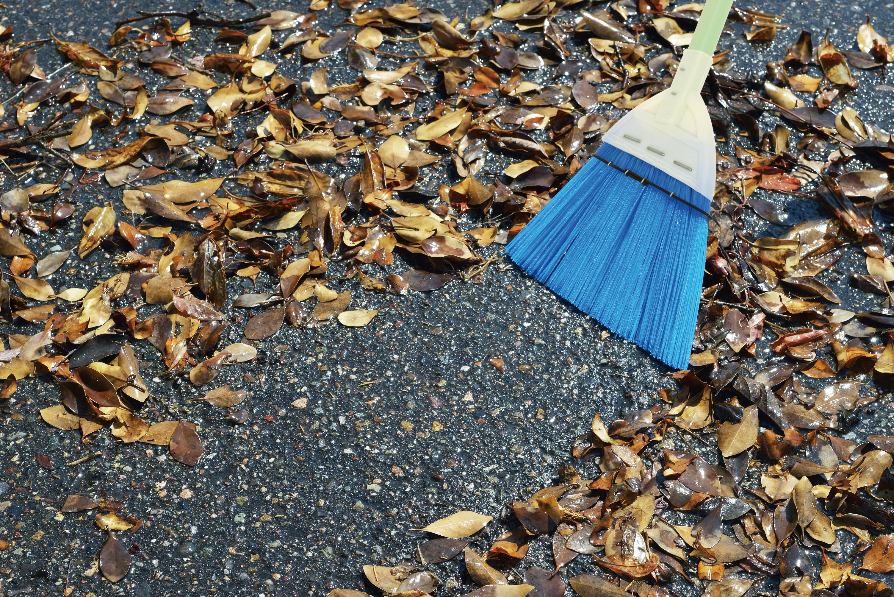 TAKAGI 高儀 ほうき ぬれ落ち葉も掃けるシャークホーキ 小 80個