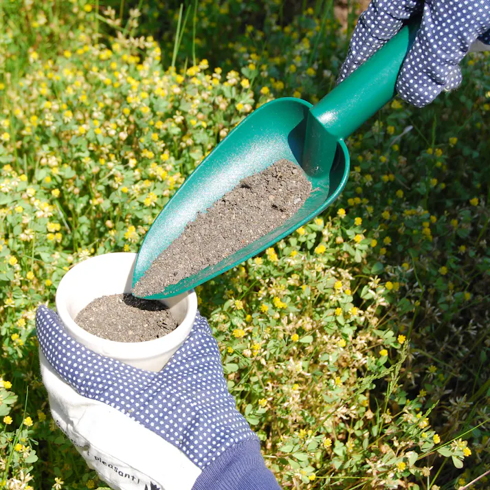 GREEN ART 高儀 移植ゴテ 100 100個セット 4907052745926-100【ネット注文限定・別送品】