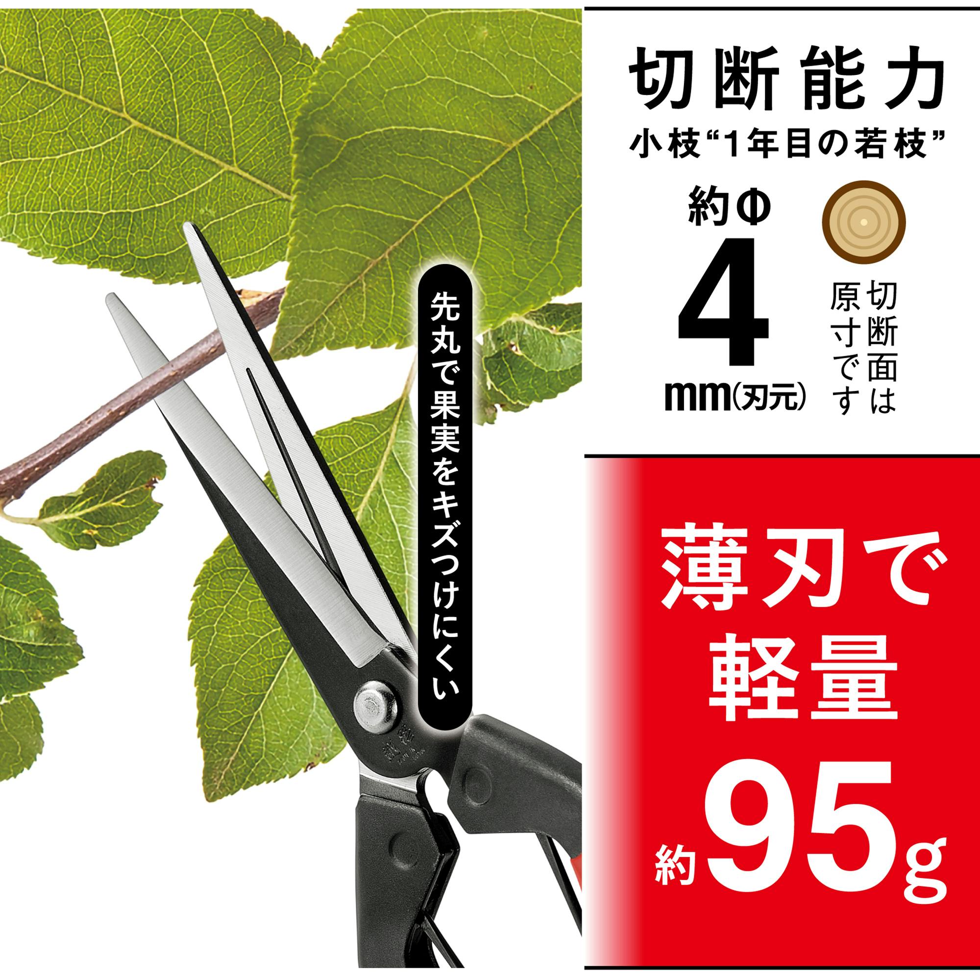 越路×TAKAGI 青果鋏 200mm 園芸用はさみ 果実・菜園用 薄刃 軽量 日本
